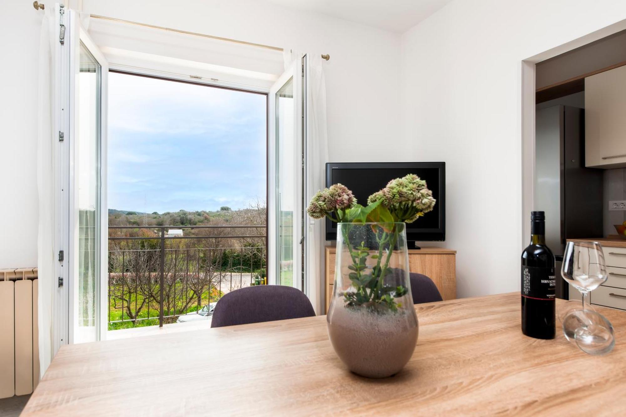 Apartment Ivo