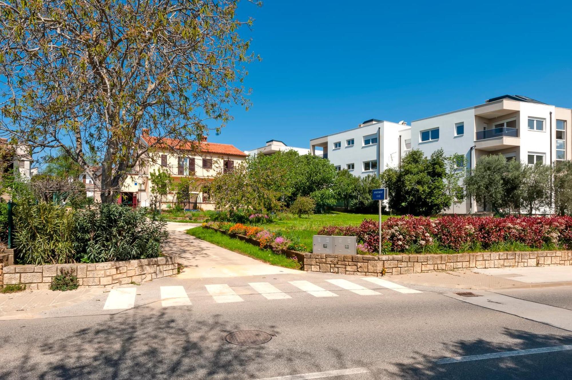 Apartment Ivo